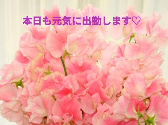 宜しくお願いします☆