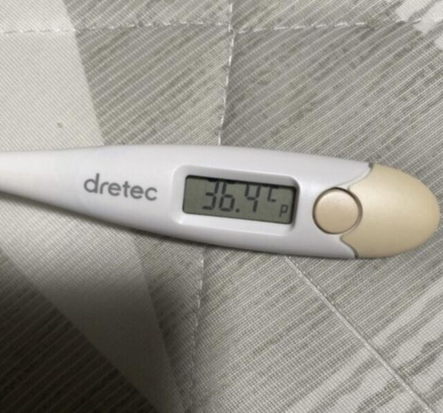 🩵体温