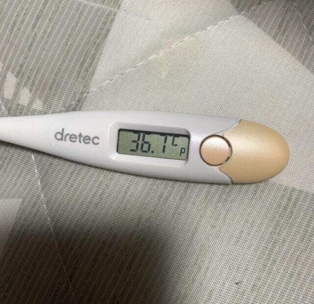 🩵体温