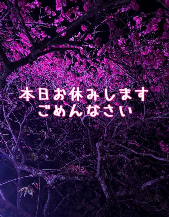 ❤︎本日お休みします❤︎