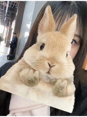 ぴょんっ<img class="emojione" alt="🐇" title=":rabbit2:" src="https://fuzoku.jp/assets/img/emojione/1f407.png"/>🤍𓈒𓏸
