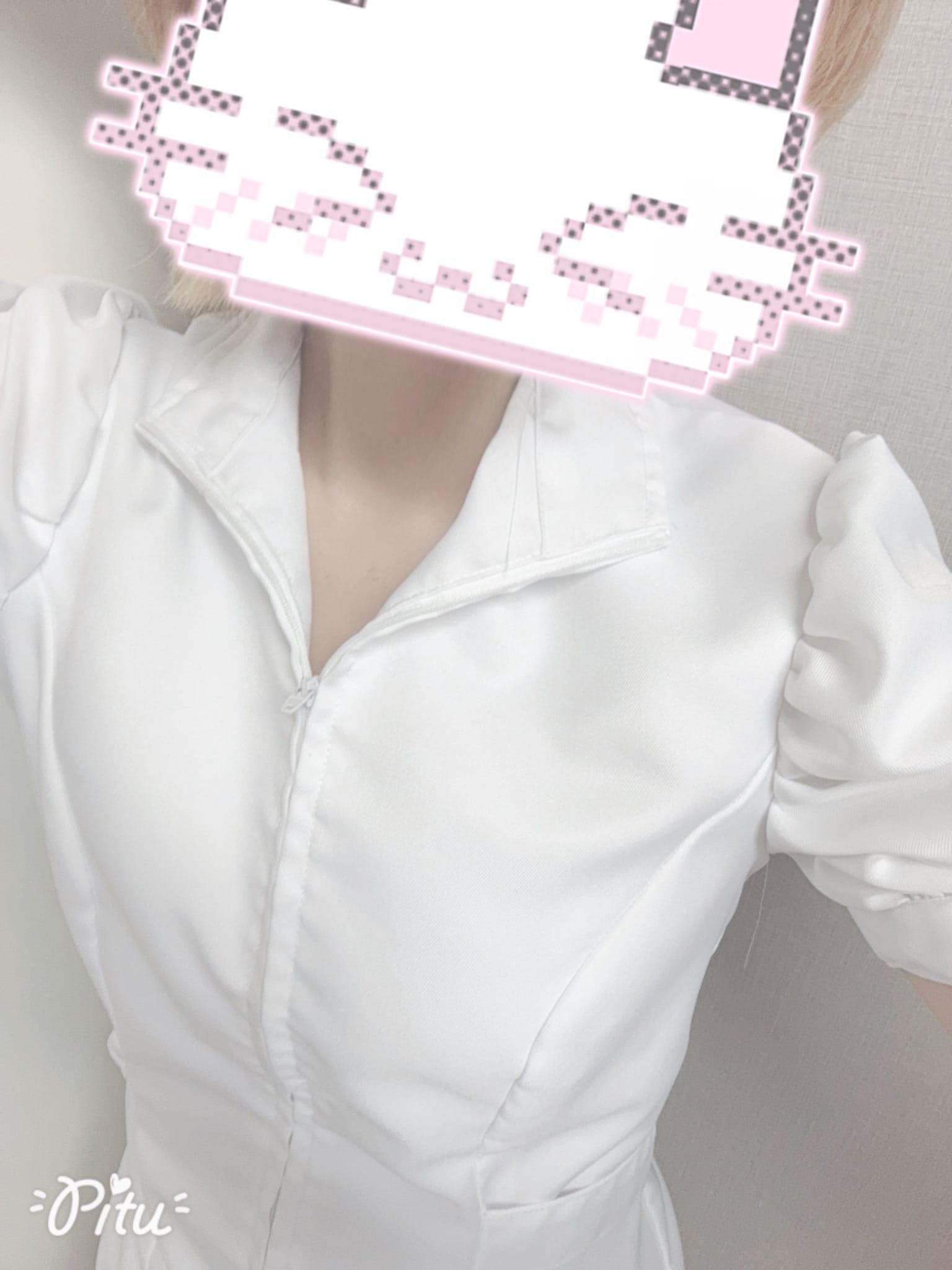 今日も朝からいるよ