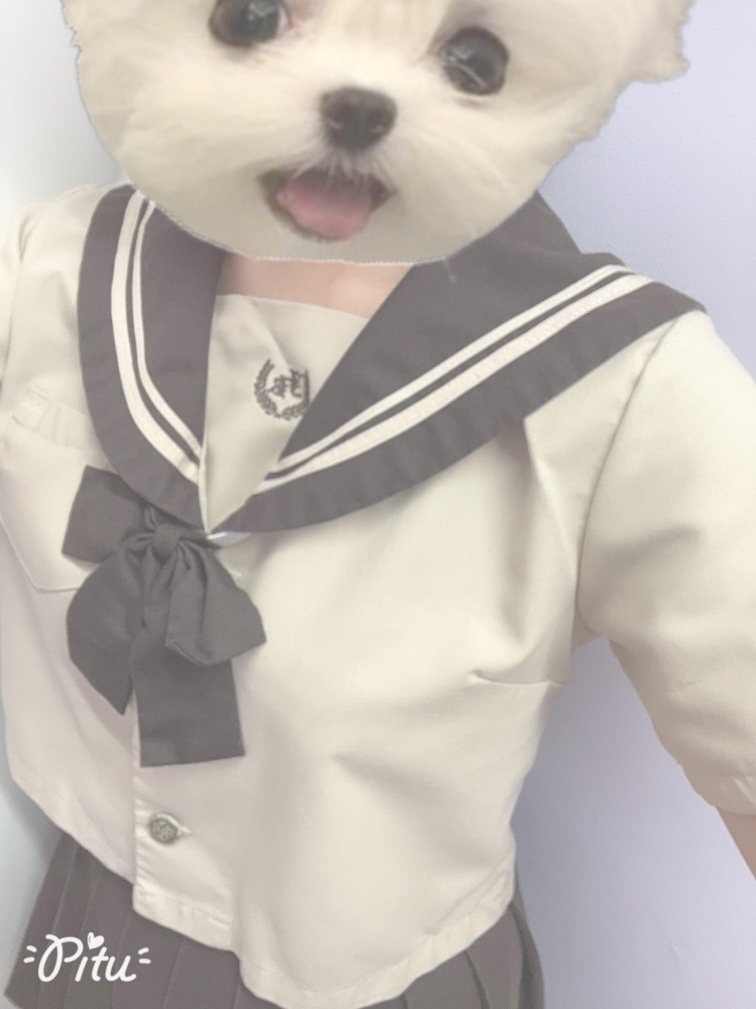 すずしいね
