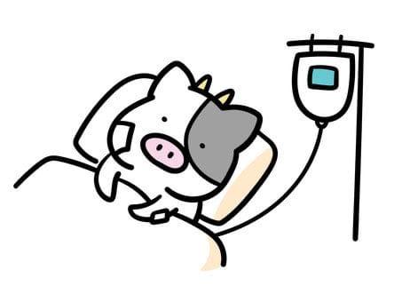 お知らせです