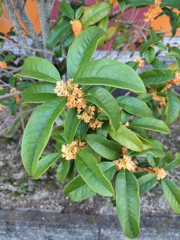 大好きな…♥️♥️