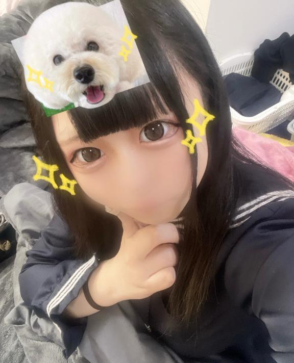 なにしてる？(･ω･｡)