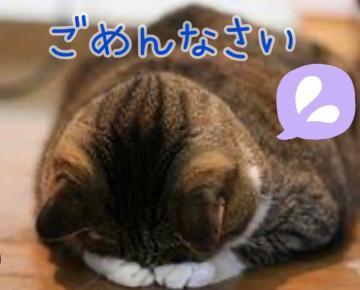 ごめんなさい<img class="emojione" alt="🙏" title=":pray:" src="https://fuzoku.jp/assets/img/emojione/1f64f.png"/>