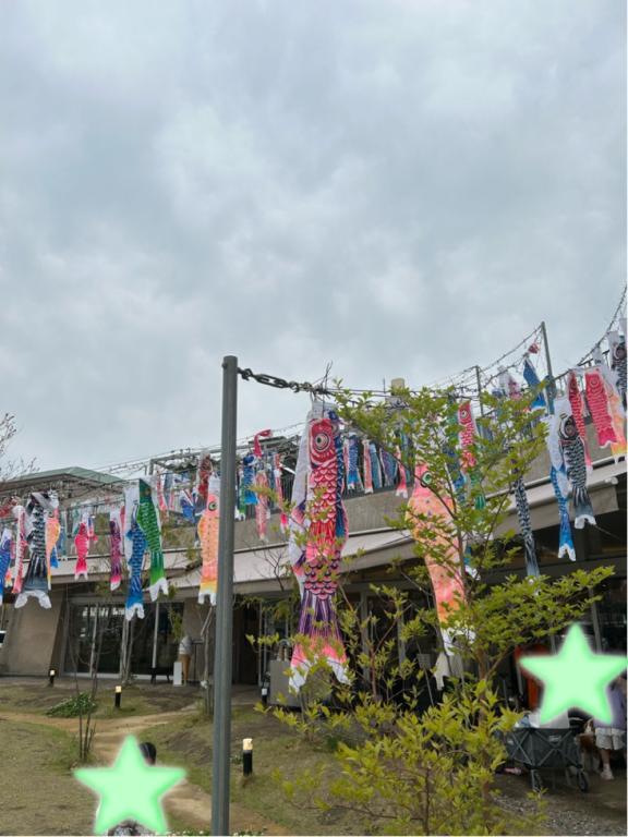 ゆっくりできました（╹◡╹）