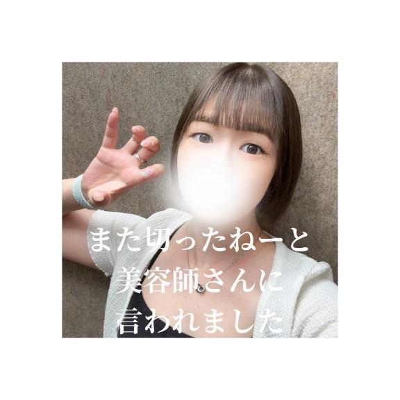 また切ったねーと美容師さんに言われました