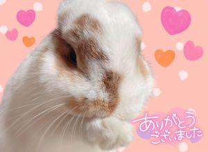 本指名Uさん<img class="emojione" alt="🐰" title=":rabbit:" src="https://fuzoku.jp/assets/img/emojione/1f430.png"/><img class="emojione" alt="❤️" title=":heart:" src="https://fuzoku.jp/assets/img/emojione/2764.png"/>