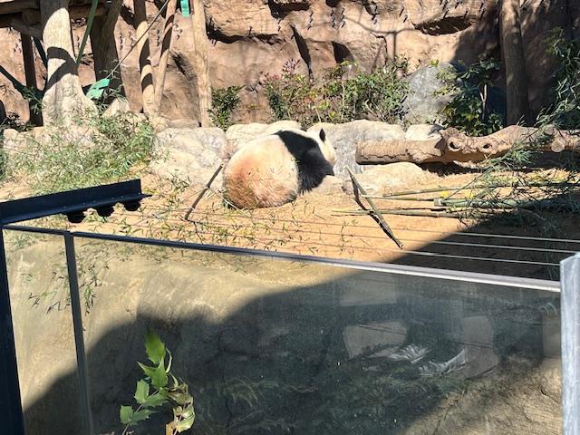 こんにちわ