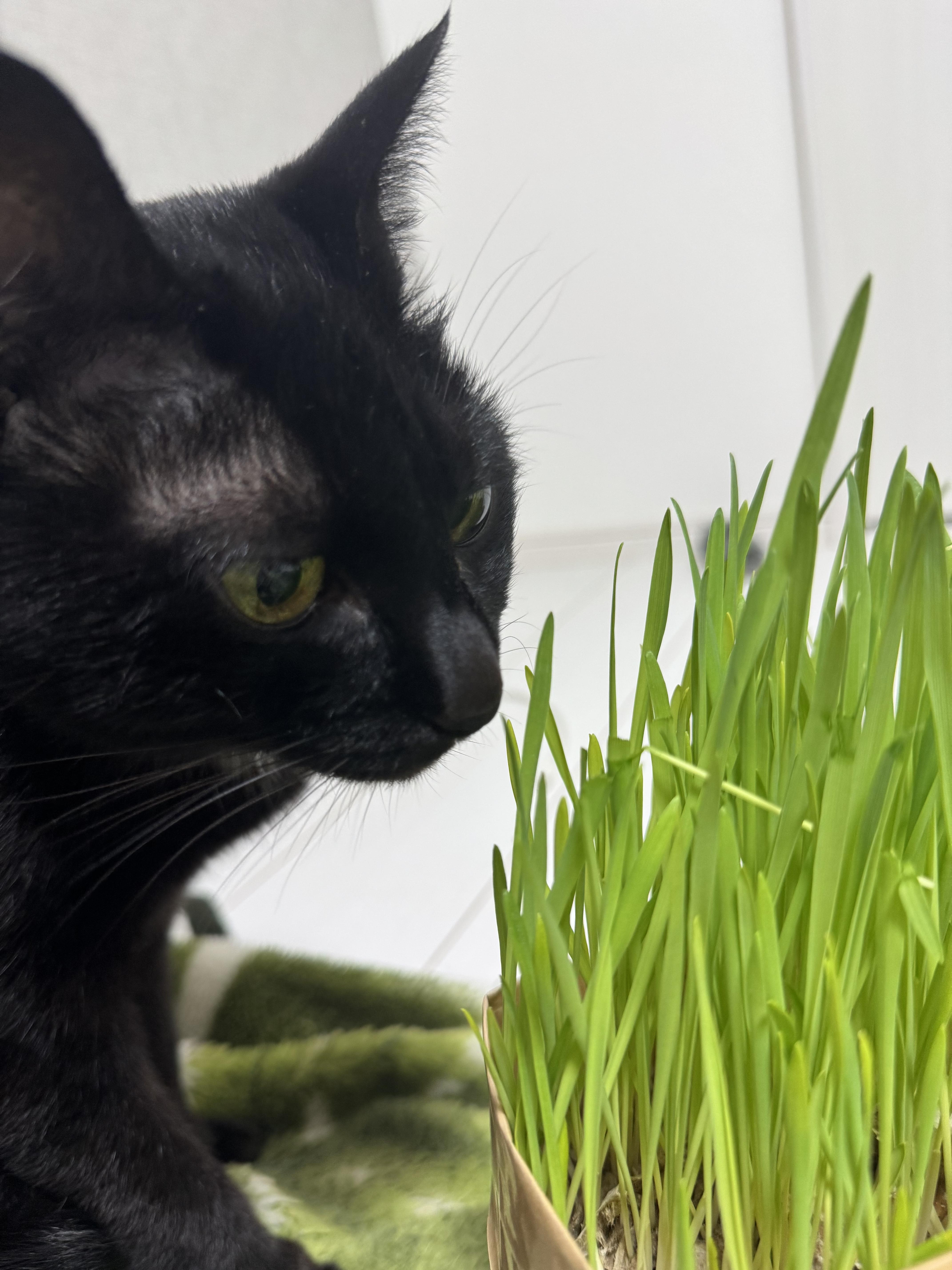 おはようございます<img class="emojione" alt="☀️" title=":sunny:" src="https://fuzoku.jp/assets/img/emojione/2600.png"/>