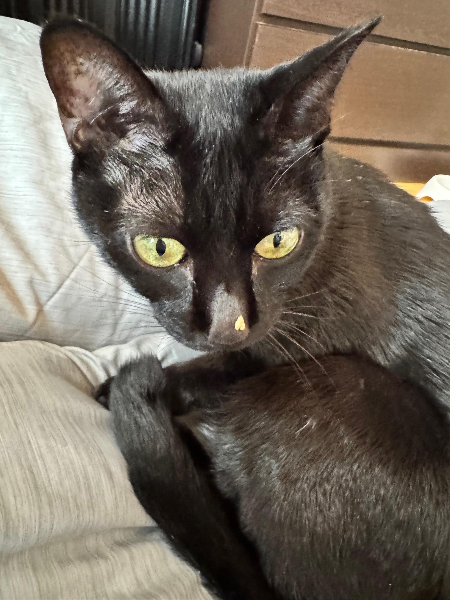 ありがとうございましたっ<img class="emojione" alt="❤️" title=":heart:" src="https://fuzoku.jp/assets/img/emojione/2764.png"/>‍<img class="emojione" alt="🔥" title=":fire:" src="https://fuzoku.jp/assets/img/emojione/1f525.png"/>