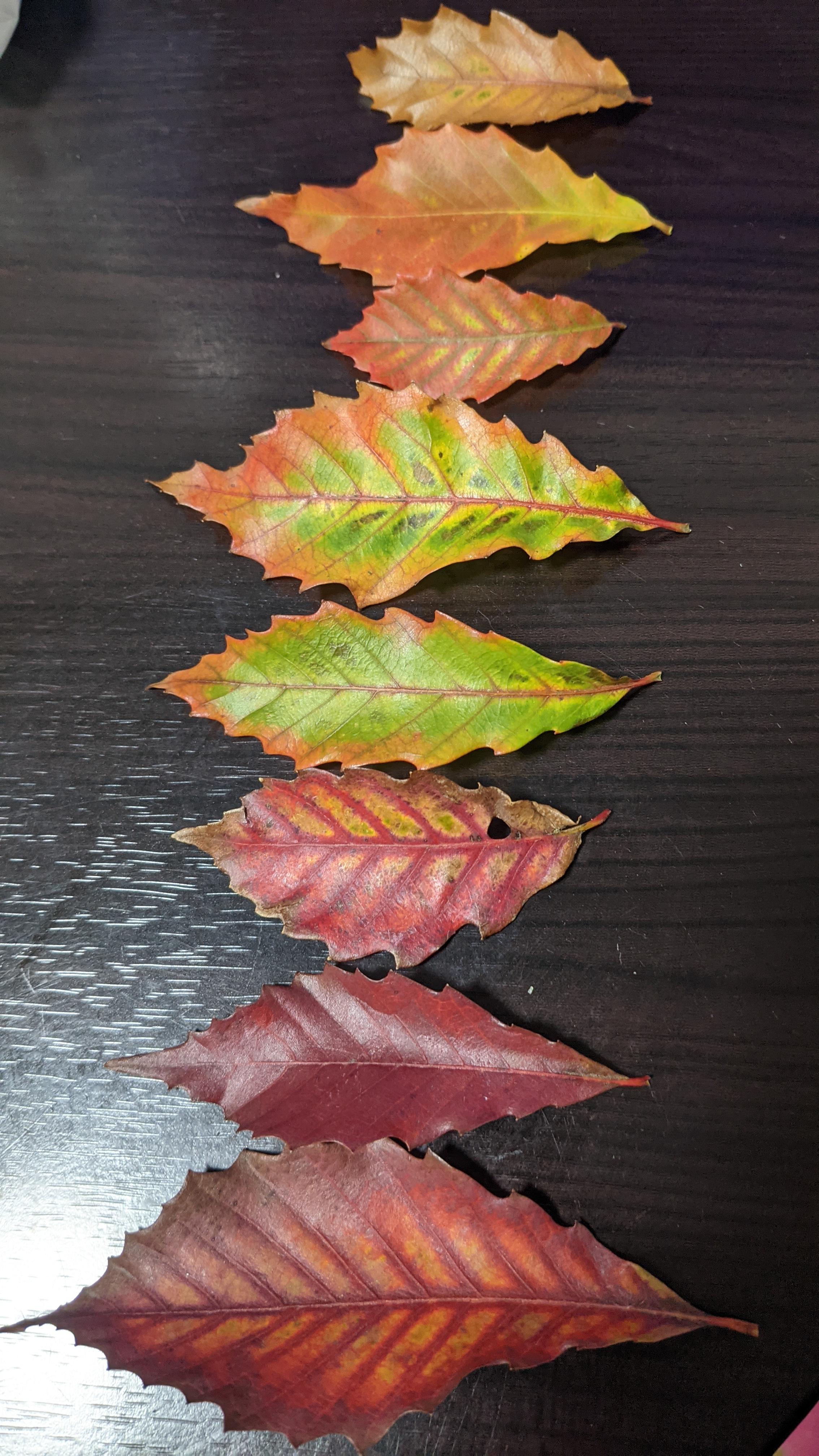 また夜な夜なこんなことをしてる人<img class="emojione" alt="🗿" title=":moyai:" src="https://fuzoku.jp/assets/img/emojione/1f5ff.png"/>