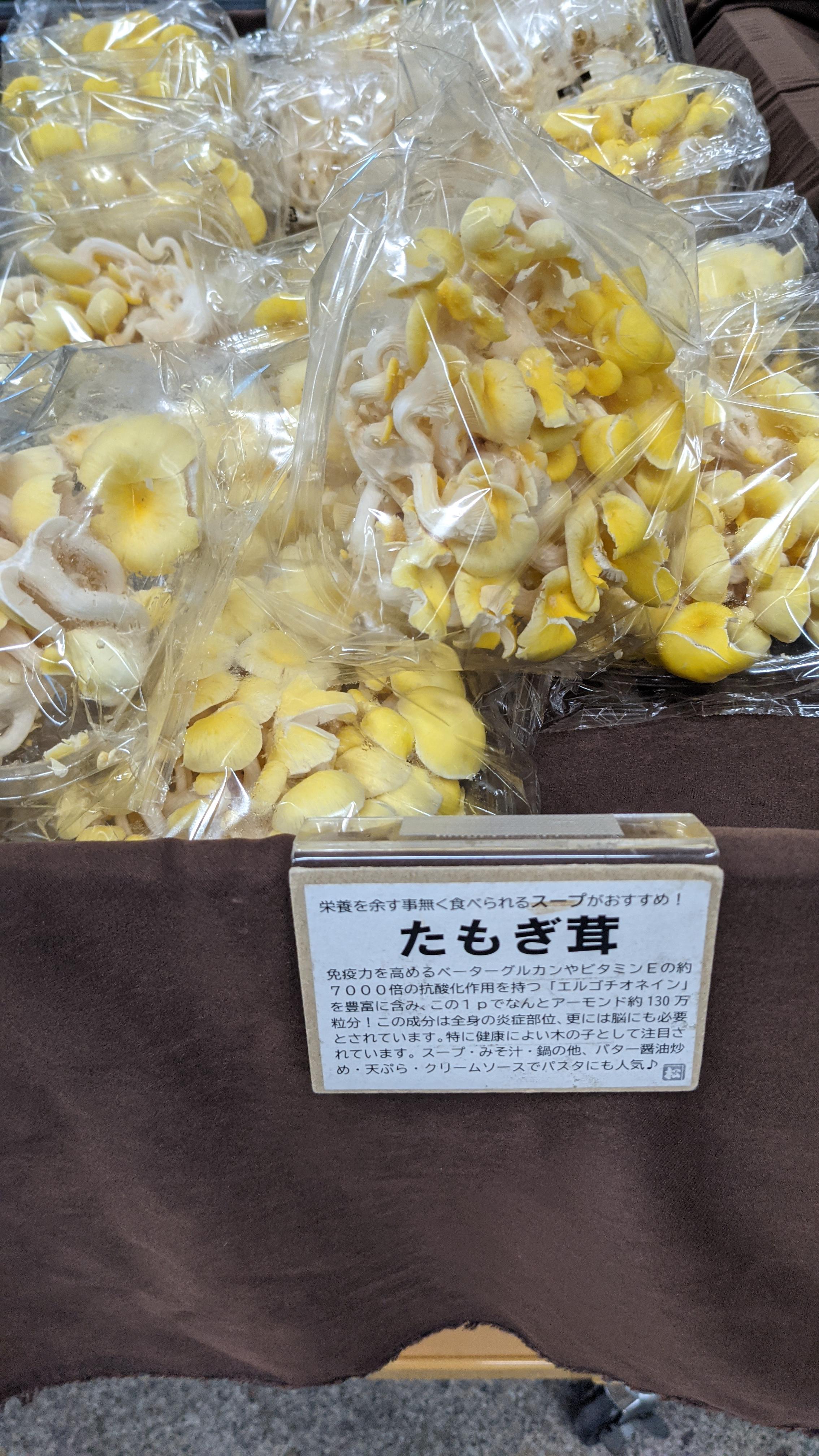 今はキノコ<img class="emojione" alt="🍄" title=":mushroom:" src="https://fuzoku.jp/assets/img/emojione/1f344.png"/>にはまる日々。