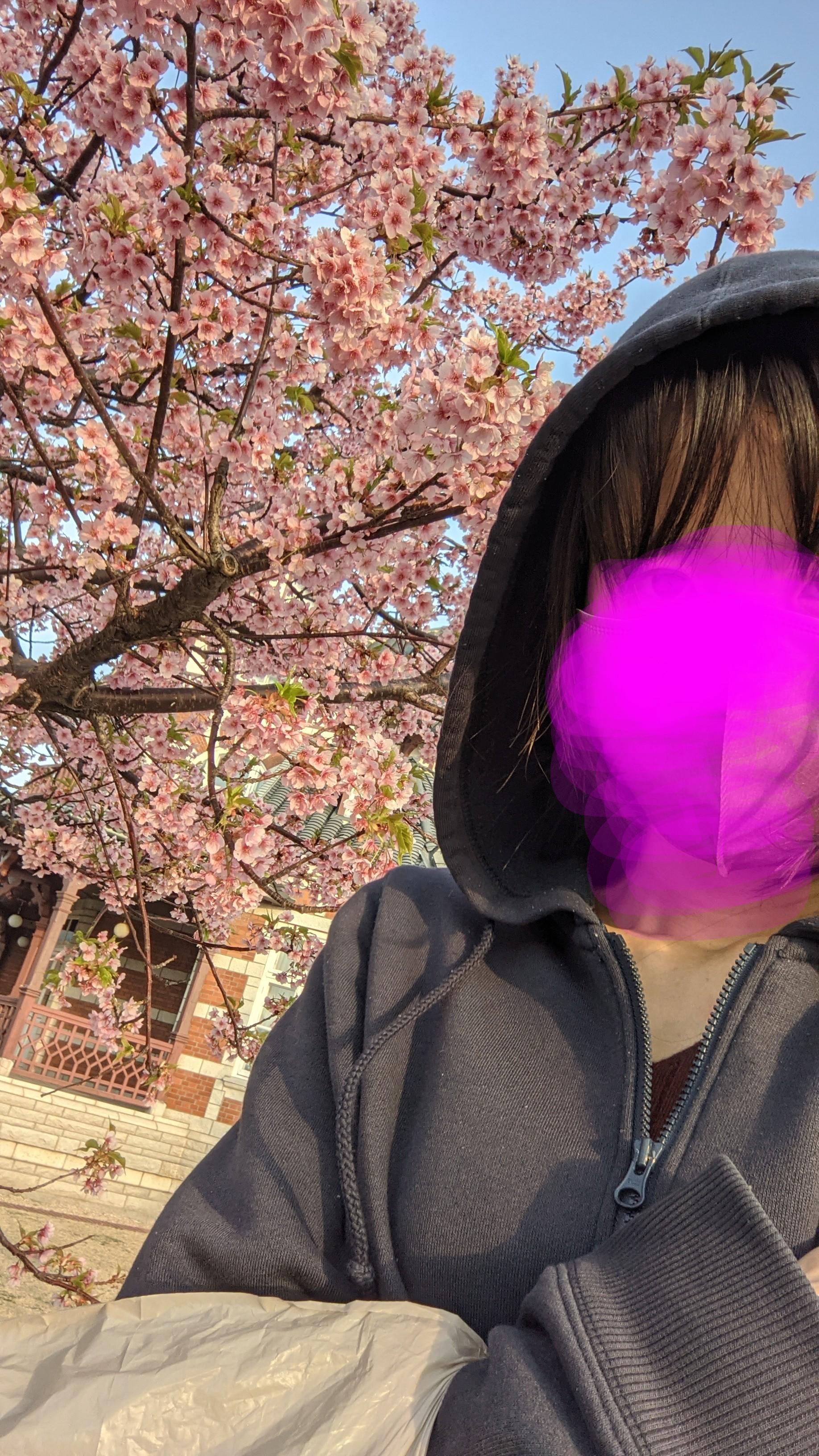 不眠症に悩む毎日