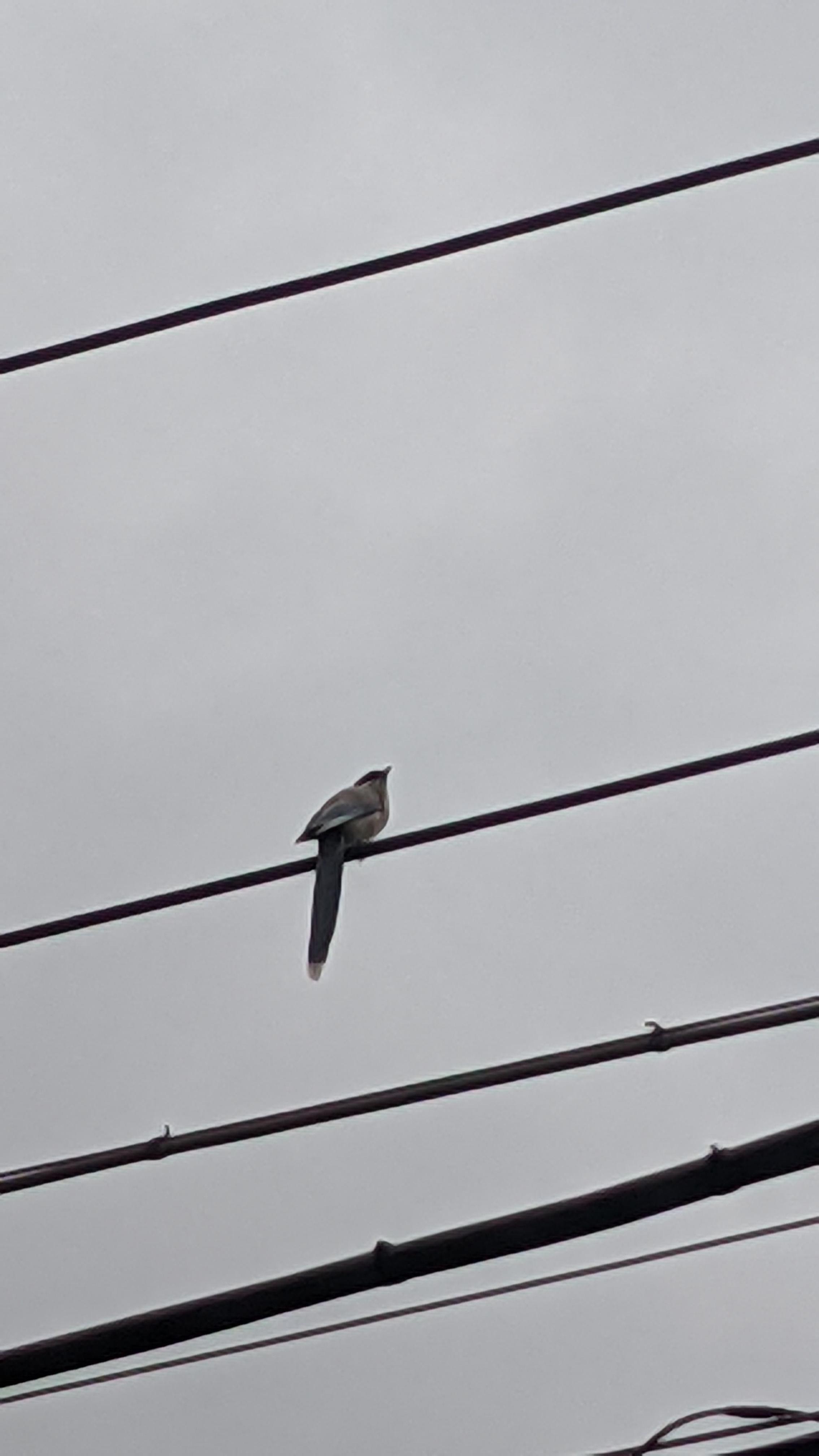 いま連休なんやあ。