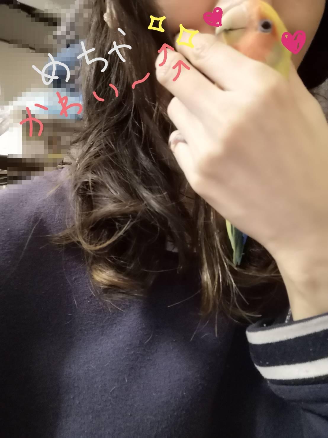 今日も終わるのがさみしい。