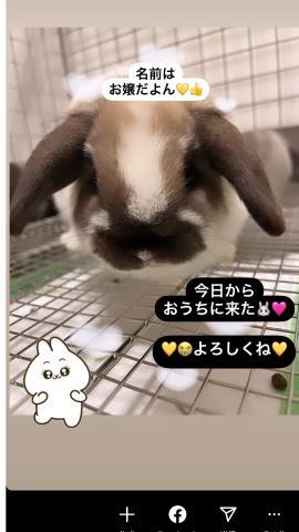 <img class="emojione" alt="🐰" title=":rabbit:" src="https://fuzoku.jp/assets/img/emojione/1f430.png"/>かわちい子供ができた<img class="emojione" alt="🐰" title=":rabbit:" src="https://fuzoku.jp/assets/img/emojione/1f430.png"/>