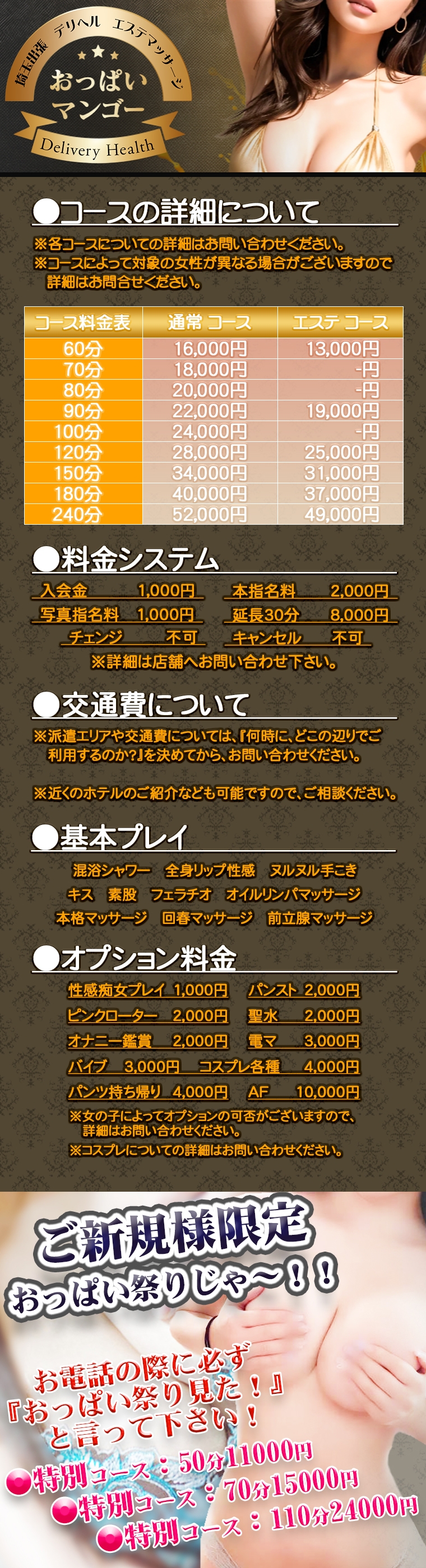 おっぱいマンゴー＿料金システム1