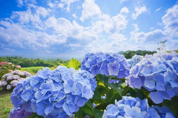 ありがとうございました♡