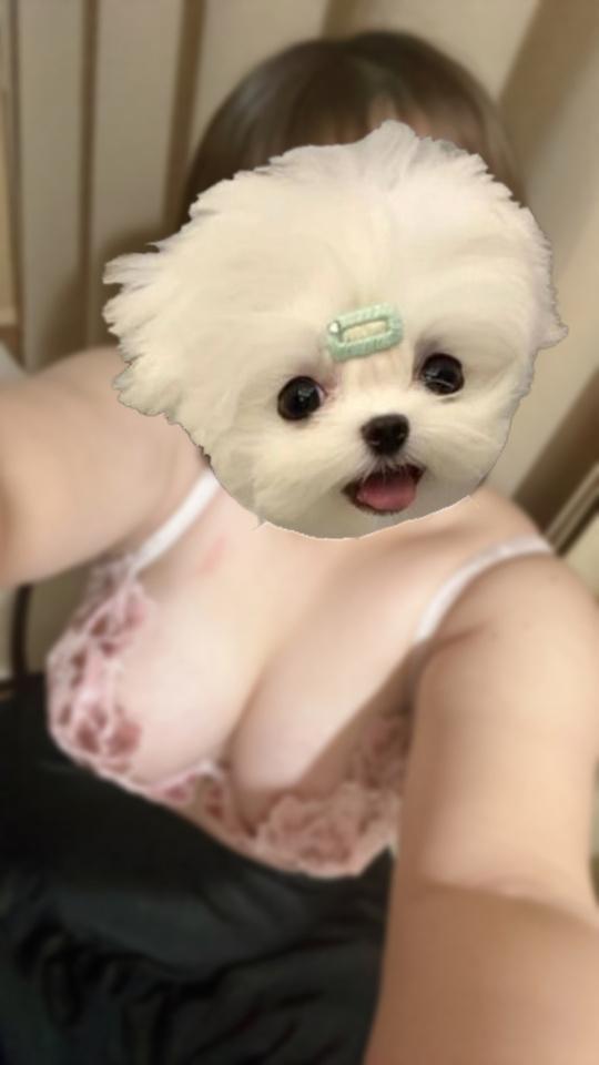 今日も出勤します？？