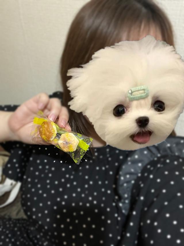お礼？