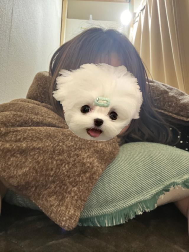 明日も出勤するよ？(*´？`*)？？