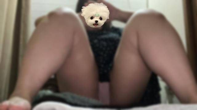 お久しぶりです（？？？）？