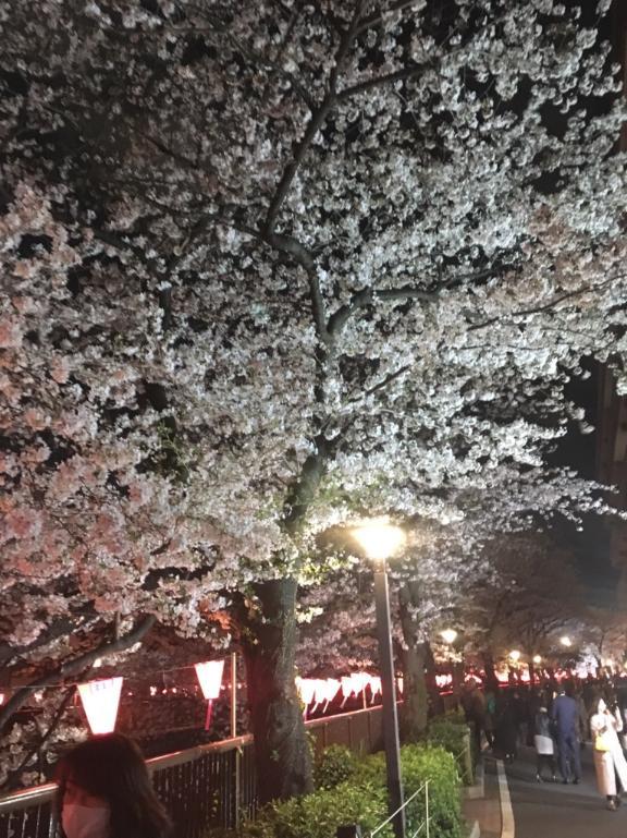 明日イキます🩷。