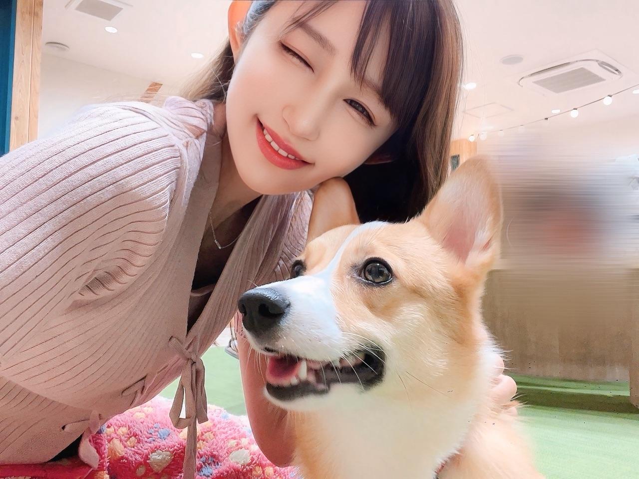 わんわん(U・ω・U）