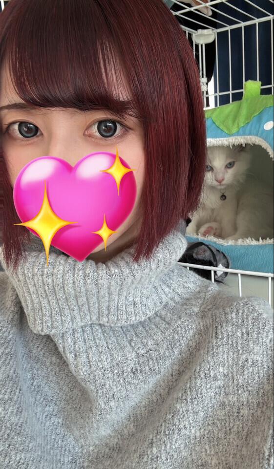 短めシフトだけど…待ってます<img class="emojione" alt="🐰" title=":rabbit:" src="https://fuzoku.jp/assets/img/emojione/1f430.png"/><img class="emojione" alt="💭" title=":thought_balloon:" src="https://fuzoku.jp/assets/img/emojione/1f4ad.png"/>