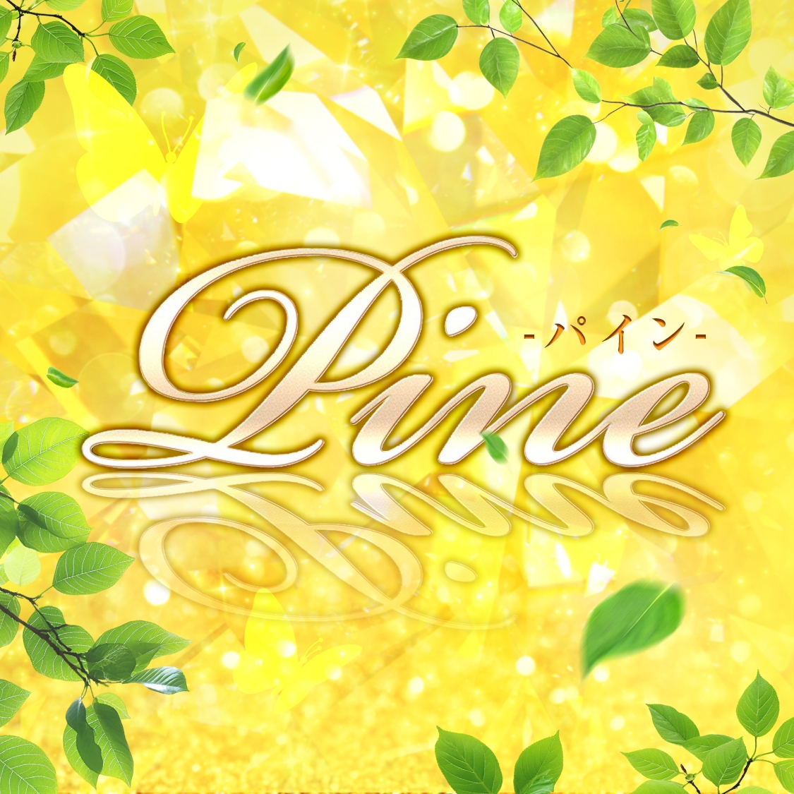 Pine-パイン-