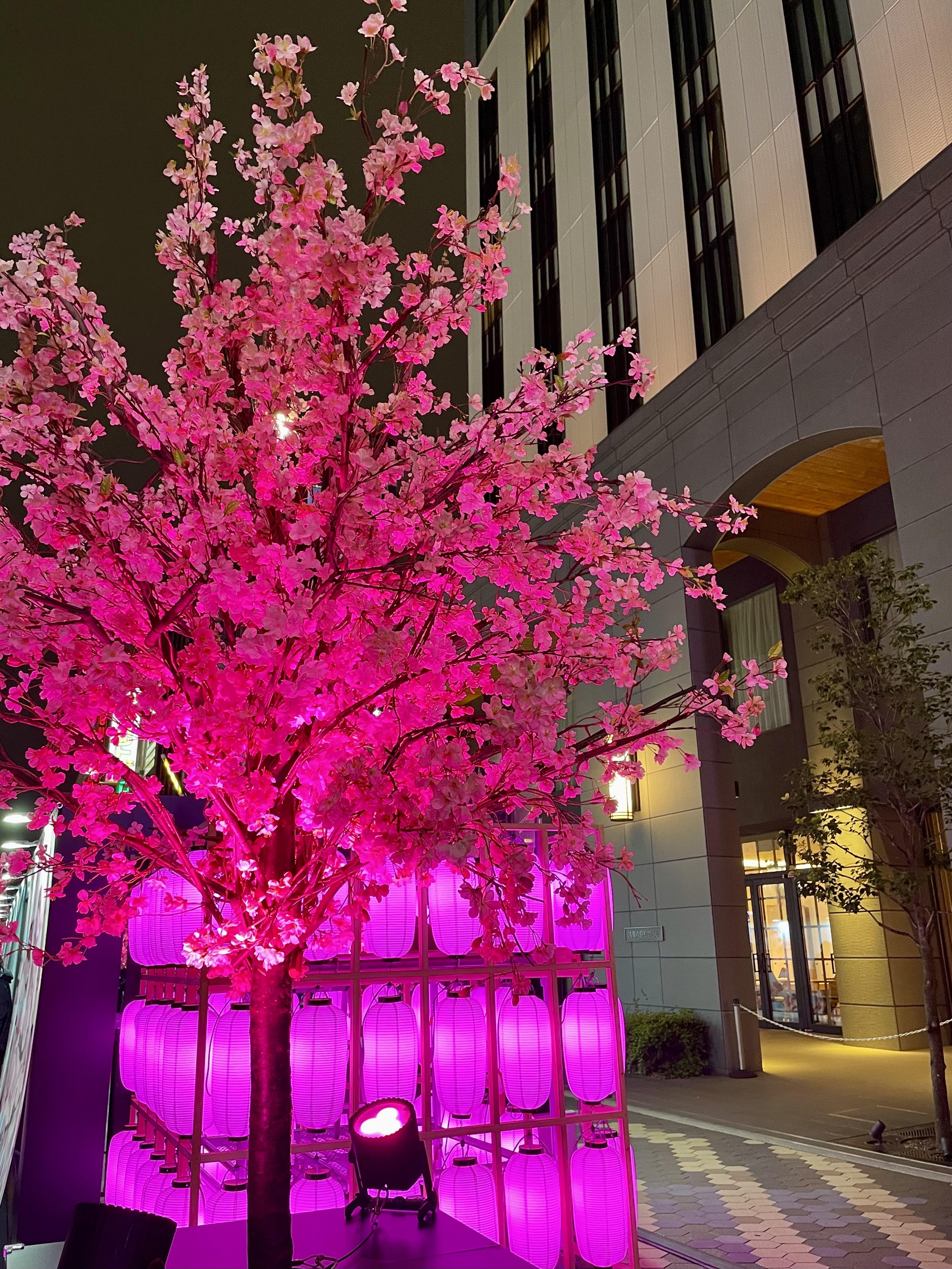 <img class="emojione" alt="🌸" title=":cherry_blossom:" src="https://fuzoku.jp/assets/img/emojione/1f338.png"/>