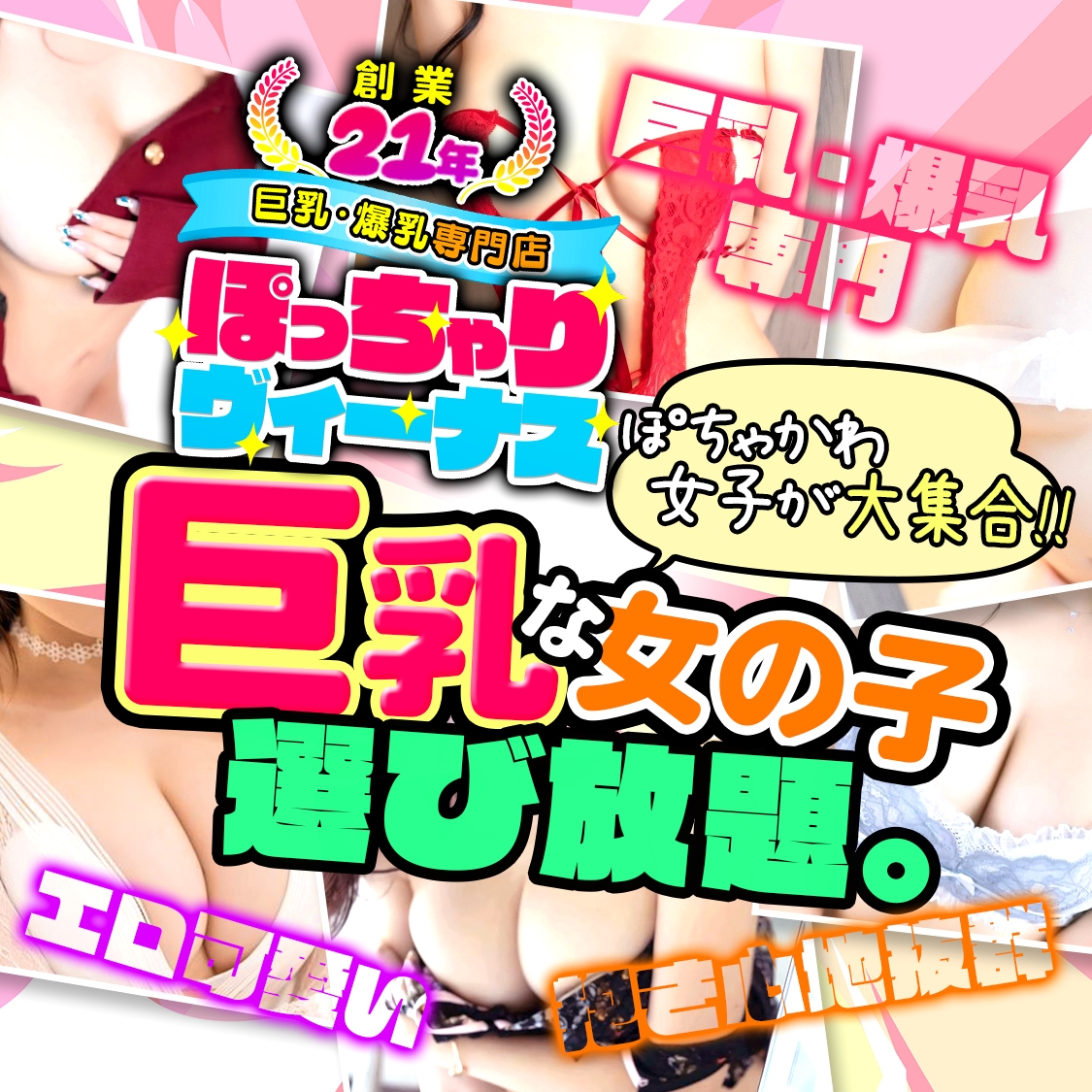 ぽっちゃりヴィーナス『信頼の証ヴィーナスグループ』