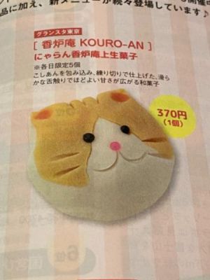 猫ちゃんは元気です<img class="emojione" alt="🐱" title=":cat:" src="https://fuzoku.jp/assets/img/emojione/1f431.png"/>