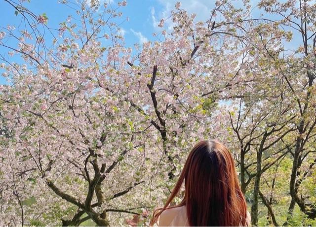 ４月のラスト