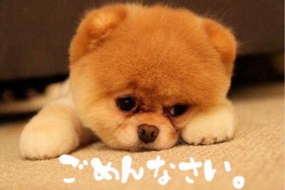 ごめんなさい<img class="emojione" alt="💦" title=":sweat_drops:" src="https://fuzoku.jp/assets/img/emojione/1f4a6.png"/>