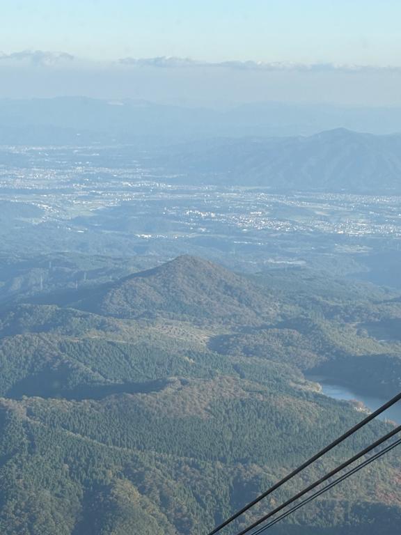 シンデレラ