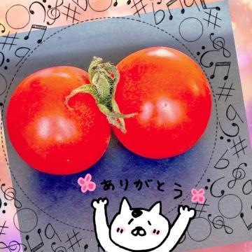 双子のトマト