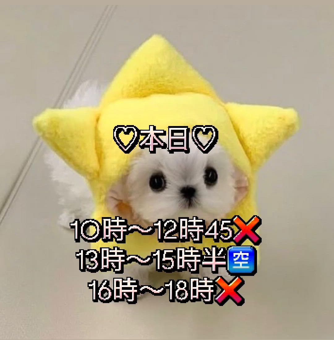 本日<img class="emojione" alt="🈳" title=":u7a7a:" src="https://fuzoku.jp/assets/img/emojione/1f233.png"/>状況<img class="emojione" alt="✨" title=":sparkles:" src="https://fuzoku.jp/assets/img/emojione/2728.png"/>