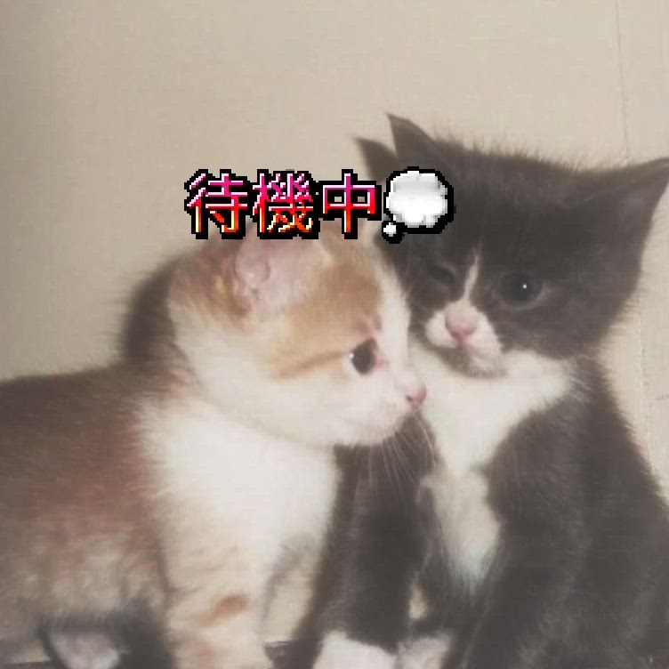 たいきちゅー<img class="emojione" alt="🎶" title=":notes:" src="https://fuzoku.jp/assets/img/emojione/1f3b6.png"/><img class="emojione" alt="🎶" title=":notes:" src="https://fuzoku.jp/assets/img/emojione/1f3b6.png"/>