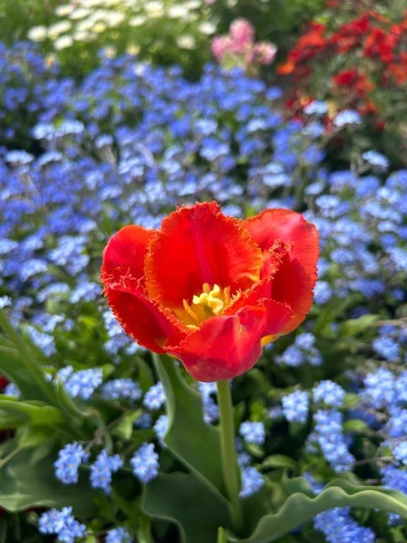 120分のお兄様<img class="emojione" alt="💐" title=":bouquet:" src="https://fuzoku.jp/assets/img/emojione/1f490.png"/>