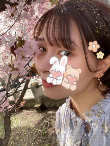 お誕生日ウィークです<img class="emojione" alt="🌸" title=":cherry_blossom:" src="https://fuzoku.jp/assets/img/emojione/1f338.png"/>
