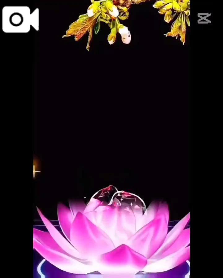 ひめかと&hellip;🥰<img class="emojione" alt="💕" title=":two_hearts:" src="https://fuzoku.jp/assets/img/emojione/1f495.png"/><img class="emojione" alt="💭" title=":thought_balloon:" src="https://fuzoku.jp/assets/img/emojione/1f4ad.png"/><img class="emojione" alt="🎀" title=":ribbon:" src="https://fuzoku.jp/assets/img/emojione/1f380.png"/>