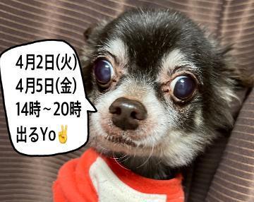 4月第1週のシフト️<img class="emojione" alt="📝" title=":pencil:" src="https://fuzoku.jp/assets/img/emojione/1f4dd.png"/>
