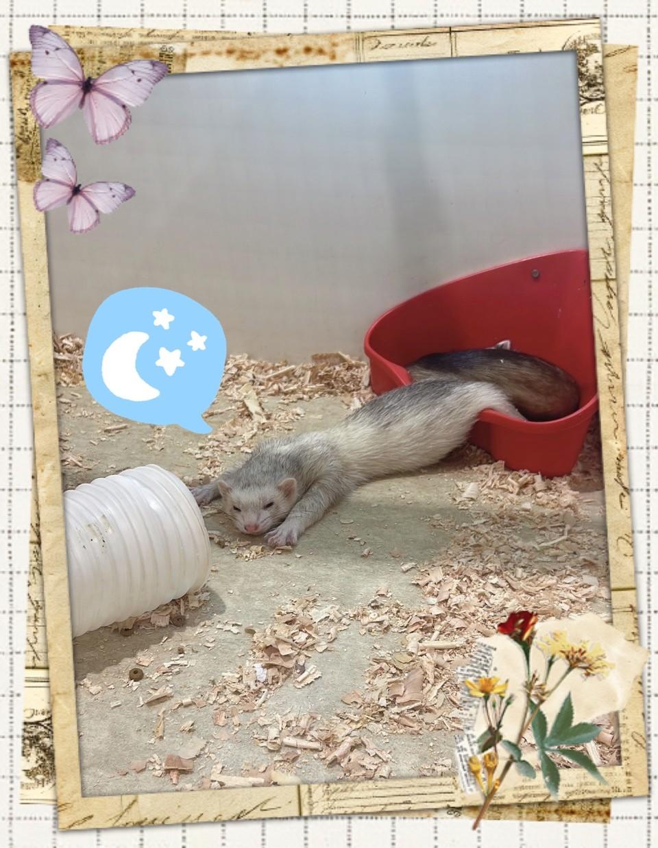 毎日がんばってるあなたへ🩵𐙚