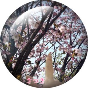 <img class="emojione" alt="🌸" title=":cherry_blossom:" src="https://fuzoku.jp/assets/img/emojione/1f338.png"/>今朝ver.