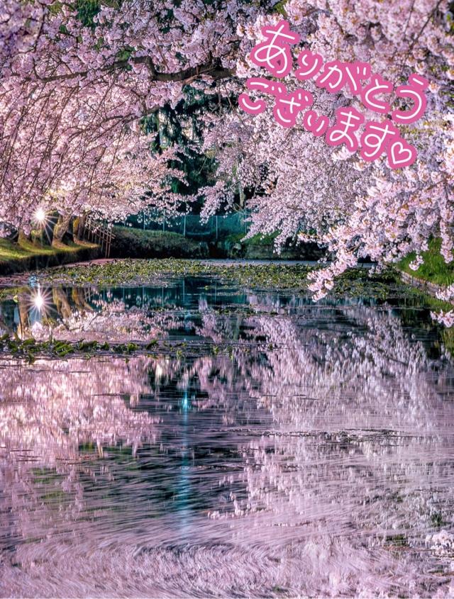 1日(火)のありがとう♡