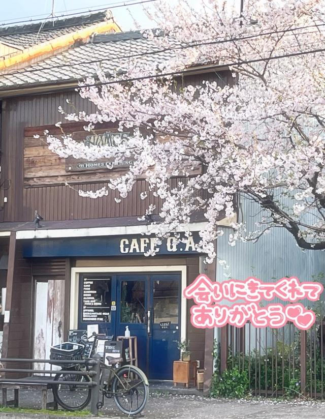 こんにちわ
